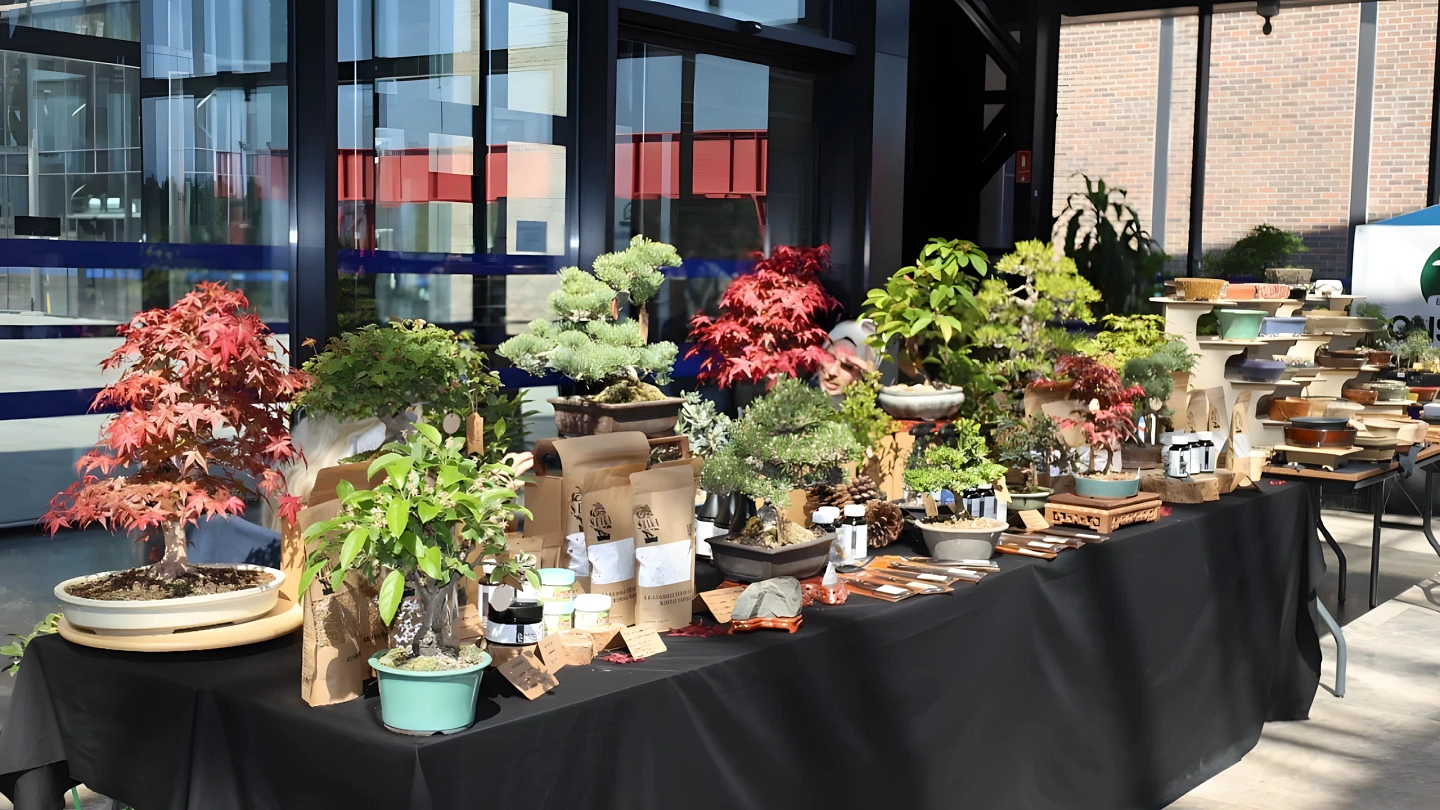 Doğa ve Sanatı Birleştiren Bonsai Sergisinde Neler Bulunuyor