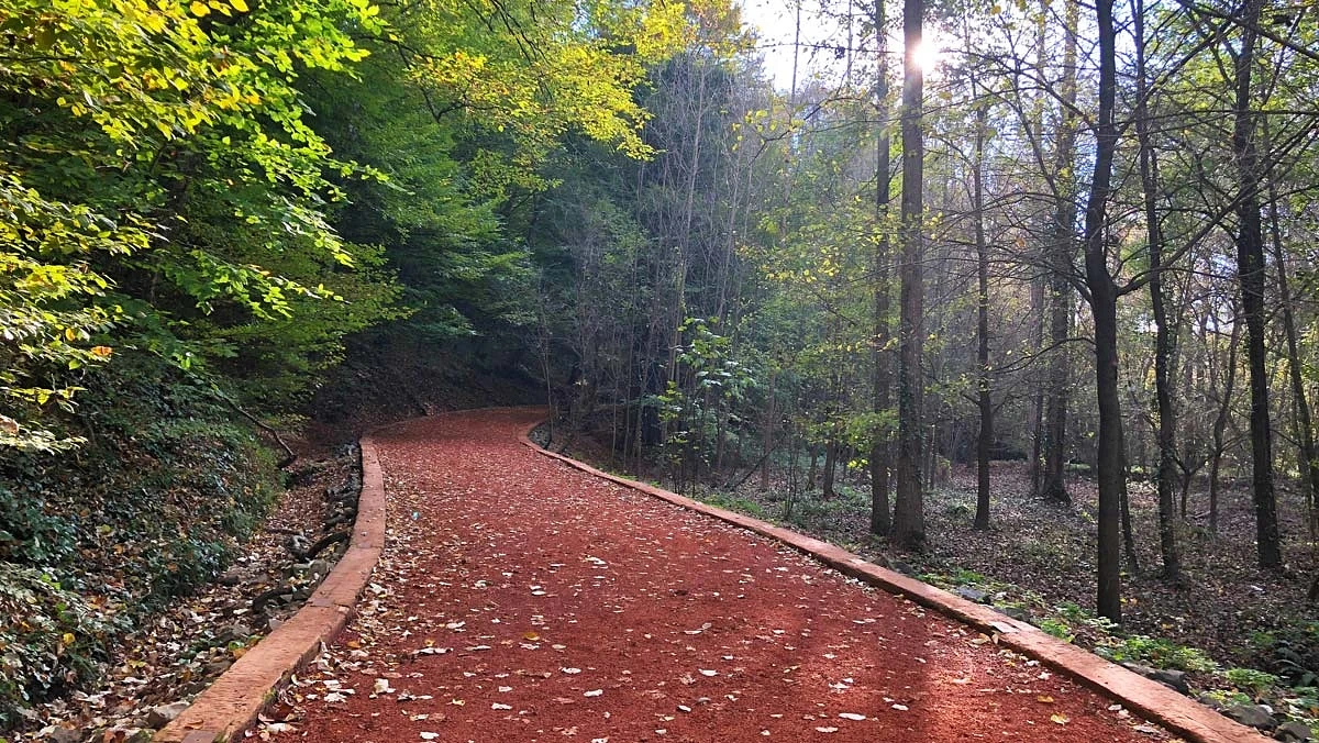 belgrad ormanı